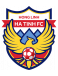 Hong Linh Ha Tinh FC