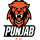Punjab FC