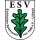 Eichholzer SV